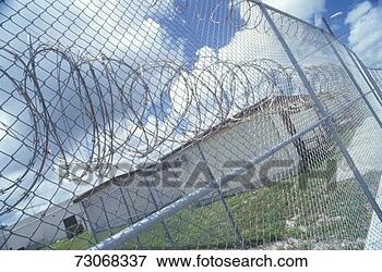 Picture - 'barbed wire fence 
at dade county 
men's correctional 
facility, fl'. 
fotosearch - search 
stock photos, 
pictures, images, 
and photo clipart