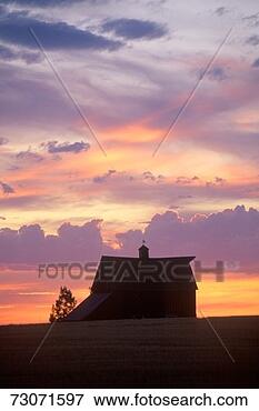 Picture - 'barn at sunset 
in silhouette, 
davenport, wa'. 
fotosearch - search 
stock photos, 
pictures, images, 
and photo clipart