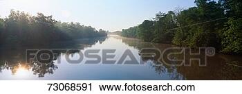 Stock Photography - 'bayous in wildlife 
refuge of lake 
fausse pointe 
state park. fotosearch 
- search stock 
photos, pictures, 
images, and photo 
clipart