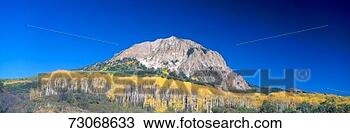 Stock Photo - 'beckwith mountain 
at kebler pass 
in gunnison national 
forest. fotosearch 
- search stock 
photos, pictures, 
images, and photo 
clipart