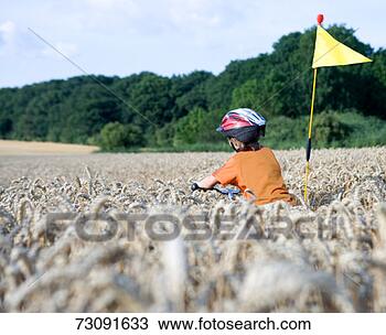 Stock Photo - boy (6-7) riding 
bicycle on wheat 
fieldrear view. 
fotosearch - search 
stock photos, 
pictures, images, 
and photo clipart