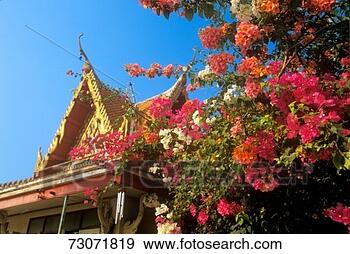 Stock Photograph - 'buddhist temple 
in bangkok, thailand'. 
fotosearch - search 
stock photos, 
pictures, images, 
and photo clipart