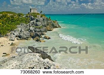 Stock Photography - 'close-up on lizard 
with background 
of templo del 
dios del viento. 
fotosearch - search 
stock photos, 
pictures, images, 
and photo clipart