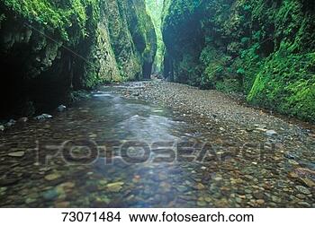 Stock Photo - 'columbia river, 
oregon'. fotosearch 
- search stock 
photos, pictures, 
images, and photo 
clipart
