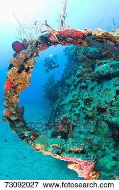 Picture - coral encrusted 
wreck, scuba diver, 
underwater view. 
fotosearch - search 
stock photos, 
pictures, images, 
and photo clipart