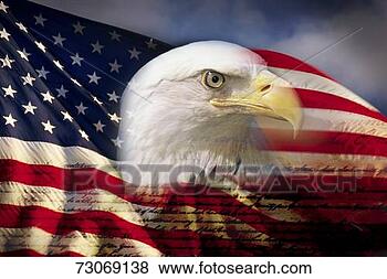 Stock Photo - digital composite: 
american bald 
eagle and flag 
is underlaid with 
the. fotosearch 
- search stock 
photos, pictures, 
images, and photo 
clipart
