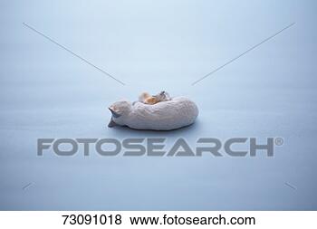 Stock Photo - figurine of cat 
with kittens. 
fotosearch - search 
stock photos, 
pictures, images, 
and photo clipart