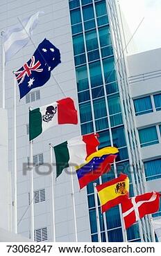 Picture - 'flags of the 
world at the fountain 
bleu hotel in 
miami, fl'. fotosearch 
- search stock 
photos, pictures, 
images, and photo 
clipart