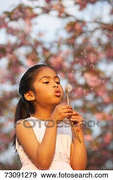 Stock Photograph - girl (4-5) in 
cherry orchard, 
blowing at dandelion. 
fotosearch - search 
stock photos, 
pictures, images, 
and photo clipart