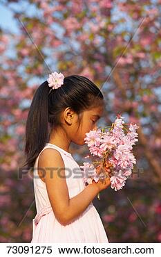Stock Image - girl (4-5) smelling 
bunch of cherry 
blossoms in orchard. 
fotosearch - search 
stock photos, 
pictures, images, 
and photo clipart
