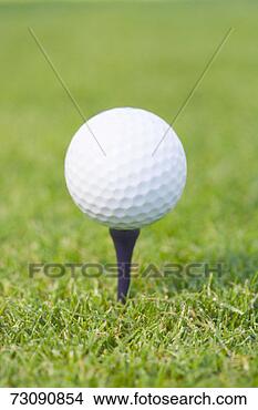 Stock Photo - golf ball on tee, 
close-up. fotosearch 
- search stock 
photos, pictures, 
images, and photo 
clipart
