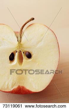 Stock Photography - half gala apple, 
overhead view, 
studio. fotosearch 
- search stock 
photos, pictures, 
images, and photo 
clipart
