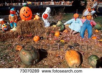 Stock Photograph - 'halloween characters 
in pumpkin patch, 
maggie valley, 
tennessee'. fotosearch 
- search stock 
photos, pictures, 
images, and photo 
clipart