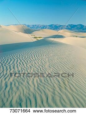 Stock Photo - 'mesquite flat 
sand dunes in 
death valley national 
monument. fotosearch 
- search stock 
photos, pictures, 
images, and photo 
clipart