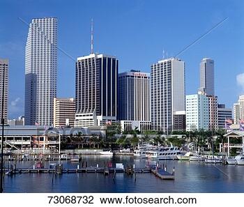 Stock Photo - 'miami skyline 
from bay, florida'. 
fotosearch - search 
stock photos, 
pictures, images, 
and photo clipart