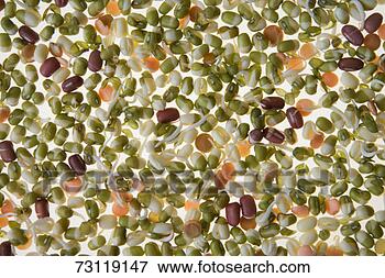 Picture - mixed bean sprouts. 
fotosearch - search 
stock photos, 
pictures, images, 
and photo clipart