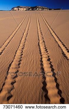 Stock Photography - 'off road vehicle 
tracks in sand, 
 coral pink sand 
dunes state park. 
fotosearch - search 
stock photos, 
pictures, images, 
and photo clipart