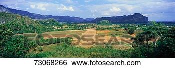 Stock Photo - 'a panoramic view 
of the valle de 
vi ales, in central 
cuba'. fotosearch 
- search stock 
photos, pictures, 
images, and photo 
clipart