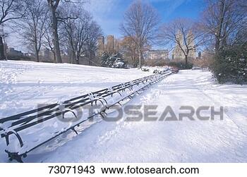Stock Photo - 'park benches 
with snow in central 
park,  manhattan, 
 new york city. 
fotosearch - search 
stock photos, 
pictures, images, 
and photo clipart