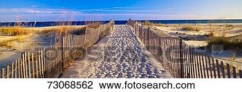 Stock Photo - 'pathway and sea 
oats on beach 
at santa rosa 
island near pensacola. 
fotosearch - search 
stock photos, 
pictures, images, 
and photo clipart