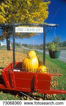 Stock Photography - 'red cart filled 
with pumpkins 
outside motel 
in autumn, route 
100, vt'. fotosearch 
- search stock 
photos, pictures, 
images, and photo 
clipart