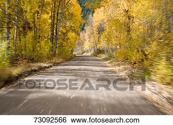Stock Photo - road flanked by 
autumnal trees 
(blurred motion). 
fotosearch - search 
stock photos, 
pictures, images, 
and photo clipart