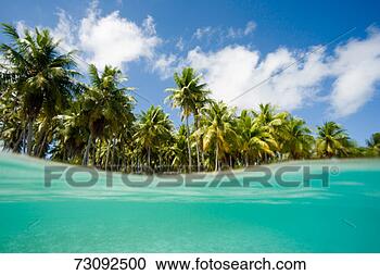 Stock Photography - south pacific, 
 french polynesia, 
 tuamotus group, 
 fakarava island. 
fotosearch - search 
stock photos, 
pictures, images, 
and photo clipart