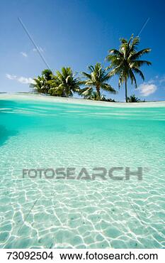 Stock Photo - south pacific, 
 french polynesia, 
 tuamotus group, 
 fakarava island. 
fotosearch - search 
stock photos, 
pictures, images, 
and photo clipart