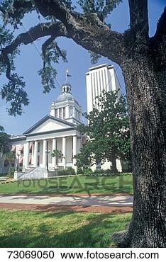 Stock Photography - 'state capitol 
of florida, tallahassee'. 
fotosearch - search 
stock photos, 
pictures, images, 
and photo clipart