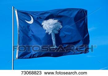 Stock Photo - state flag of 
south carolina. 
fotosearch - search 
stock photos, 
pictures, images, 
and photo clipart