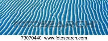 Stock Photography - these are white 
sand dunes in 
morning light 
there are line 
patterns. fotosearch 
- search stock 
photos, pictures, 
images, and photo 
clipart