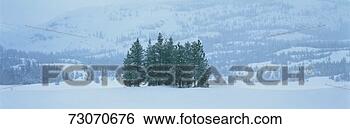 Stock Photo - these are winter 
trees in a snow 
storm they are 
located near the. 
fotosearch - search 
stock photos, 
pictures, images, 
and photo clipart