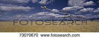 Stock Photography - this is a golden 
field of wheat 
with its irrigation 
device. fotosearch 
- search stock 
photos, pictures, 
images, and photo 
clipart