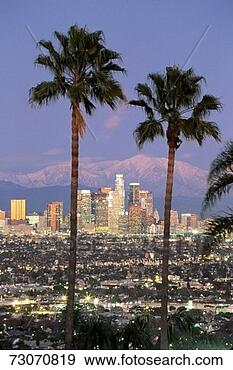 Stock Photograph - this is the los 
angeles skyline 
with two palm 
trees in the winter. 
fotosearch - search 
stock photos, 
pictures, images, 
and photo clipart