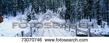 Stock Photo - this is a small 
snow covered road 
after a winter 
snow storm the 
road. fotosearch 
- search stock 
photos, pictures, 
images, and photo 
clipart