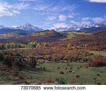 Stock Image - 'this is the sneffels 
mountain range 
near the dallas 
divide the. fotosearch 
- search stock 
photos, pictures, 
images, and photo 
clipart
