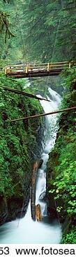 Stock Photo - this is the sol 
duc waterfall 
in the rain forest 
of olympic national. 
fotosearch - search 
stock photos, 
pictures, images, 
and photo clipart