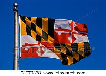 Stock Photo - this is the state 
flag flying on 
a flagpole against 
a blue sky the. 
fotosearch - search 
stock photos, 
pictures, images, 
and photo clipart