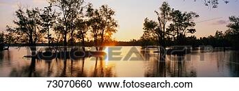 Stock Photography - this is the wildlife 
refuge at lake 
fausse pointe 
state park at. 
fotosearch - search 
stock photos, 
pictures, images, 
and photo clipart