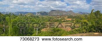 Stock Photo - 'tropical view 
of the valle de 
vi ales, in central 
cuba'. fotosearch 
- search stock 
photos, pictures, 
images, and photo 
clipart