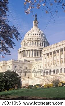 Stock Photo - 'united states 
capitol building, 
washington, dc'. 
fotosearch - search 
stock photos, 
pictures, images, 
and photo clipart