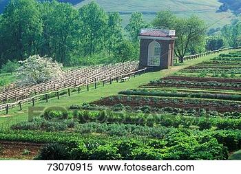 Stock Image - 'vegetable garden 
and pavilion at 
monticello,  home 
of thomas. fotosearch 
- search stock 
photos, pictures, 
images, and photo 
clipart
