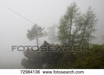 Stock Photo - waterside trees 
obscured by mist. 
fotosearch - search 
stock photos, 
pictures, images, 
and photo clipart