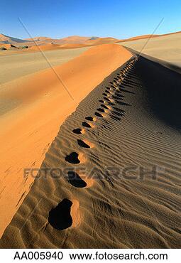 Stock Photography - footprints along 
a dune. fotosearch 
- search stock 
photos, pictures, 
images, and photo 
clipart