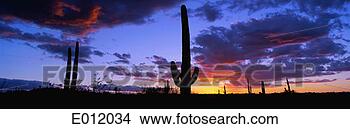 Stock Photo - dramatic arizona 
desert sunset. 
fotosearch - search 
stock photos, 
pictures, images, 
and photo clipart