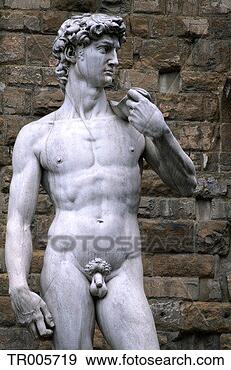 Stock Photograph - replica of michelangelo's 
david. fotosearch 
- search stock 
photos, pictures, 
images, and photo 
clipart