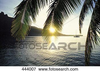 Picture - cooks bay, moorea 
island, polynesia. 
fotosearch - search 
stock photos, 
pictures, images, 
and photo clipart