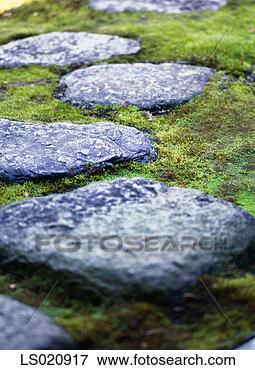 Picture - steppingstones 
in japanese garden. 
fotosearch - search 
stock photos, 
pictures, images, 
and photo clipart