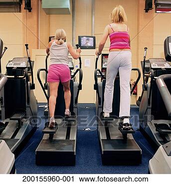 Stock Photography - two mature women 
using elliptical 
trainers in gym. 
fotosearch - search 
stock photos, 
pictures, images, 
and photo clipart