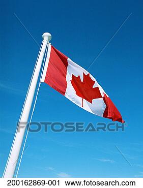 Stock Photography - canadian flag 
blowing in wind, 
low angle view. 
fotosearch - search 
stock photos, 
pictures, images, 
and photo clipart